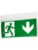 CEAG ( Safeexit ) F1 at escape sign – 4250600701500