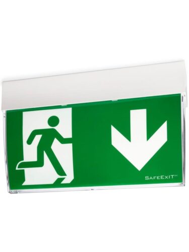 CEAG ( Safeexit ) F1 at escape sign – 4250600701500