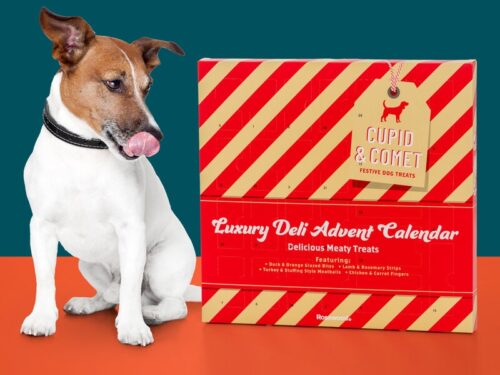 Cupid & Comet luksus-hundekalender – 5025659904115