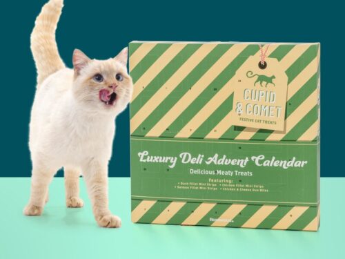 Cupid & Comet luksus-kattekalender – 5025659904122