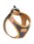 Curli hund – 7640455191569