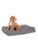 Danish Design hund – 5028441092885
