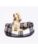 Danish Design hund – 5028441096722
