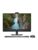 Dell stasjonær PC – 5397184852163