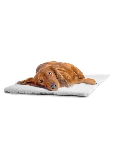 Dogman hund – 7312138100600