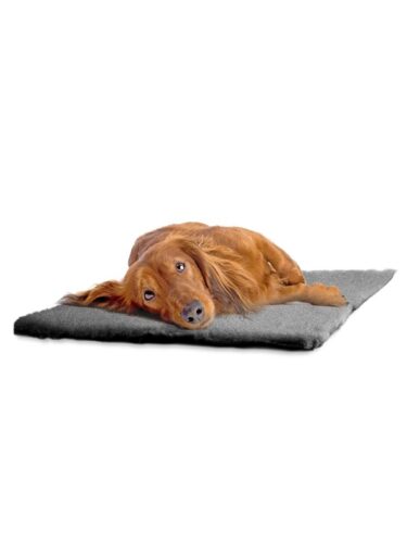Dogman hund – 7312138111101