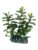 Dohse fisk – 4011444515551