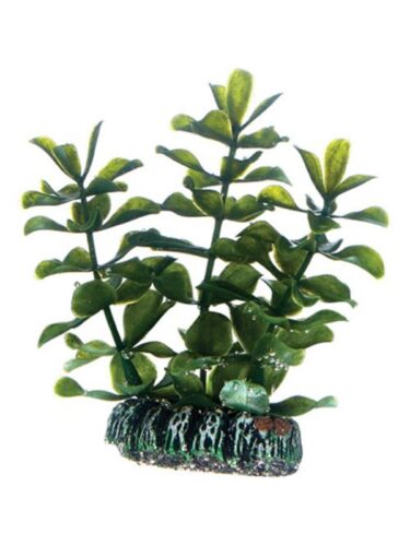 Dohse fisk – 4011444515551