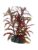 Dohse fisk – 4011444515704