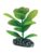 Dohse fisk – 4011444515629