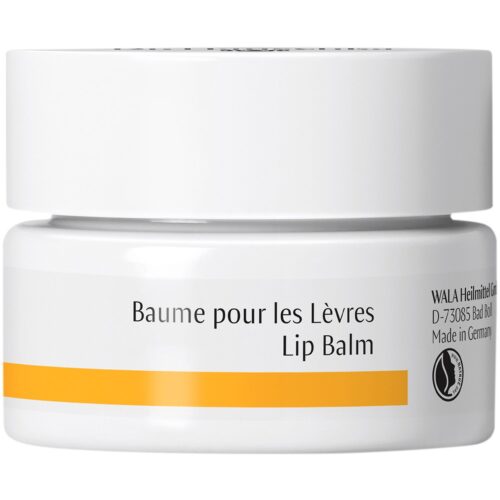 Dr. Hauschka Lipbalm 4.5 ml – 0000042239543