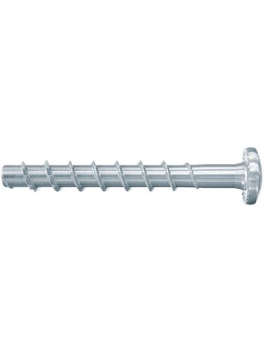 Fischer skruer spiker – 4048962329360