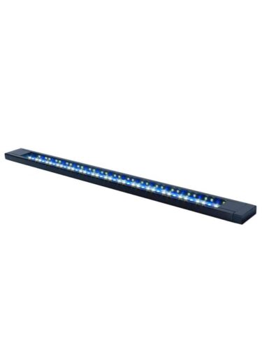 FLUVAL fisk – 0015561145497