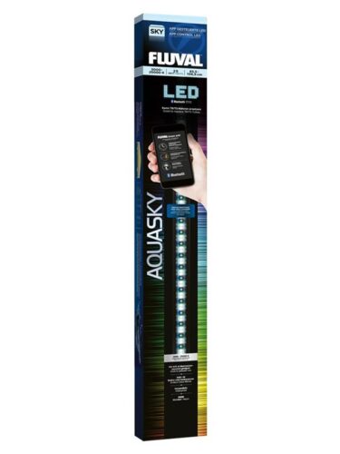 FLUVAL fisk – 0015561145534
