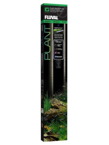FLUVAL fisk – 0015561145220