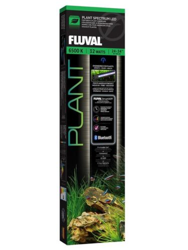 FLUVAL fisk – 0015561145213