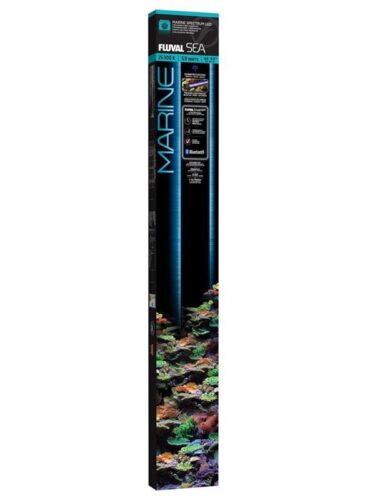FLUVAL fisk – 0015561145176