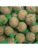 Hobby First fugl – 5701265411376