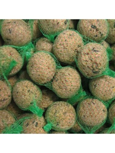 Hobby First fugl – 5701265411376