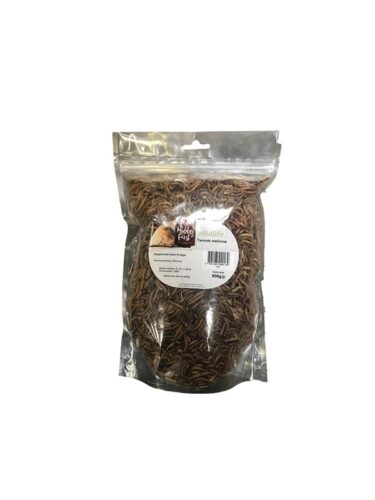 Hobby First fugl – 5701265990130