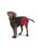 Hunter hund – 4016739654298