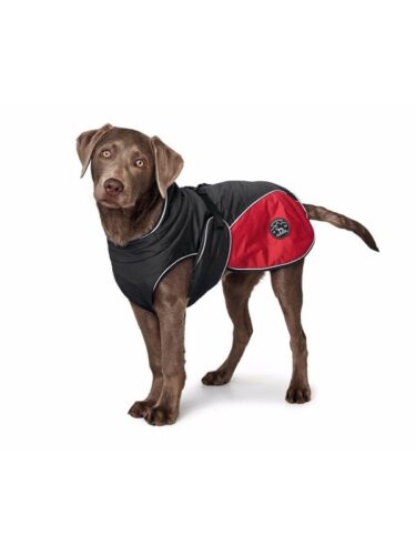Hunter hund – 4016739654298