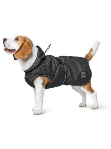 Hunter hund – 4016739629739
