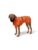 Hunter hund – 4099902034219