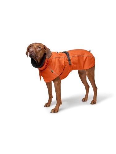 Hunter hund – 4099902034219