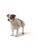 Hunter hund – 4099902034110
