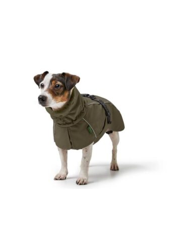 Hunter hund – 4099902034394