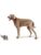 Hunter hund – 4016739686428