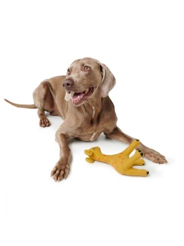 Hunter hund – 4016739686404