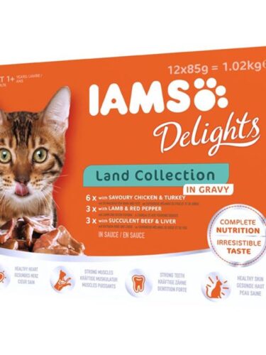 Iams katt – 8710255100418