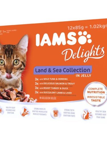 Iams katt – 8710255100371