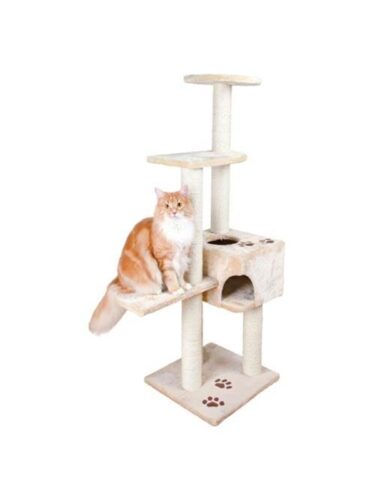 Jolly Paw katt – 4053032011922