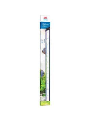 Juwel fisk – 4022573489125