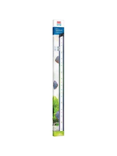 Juwel fisk – 4022573489156