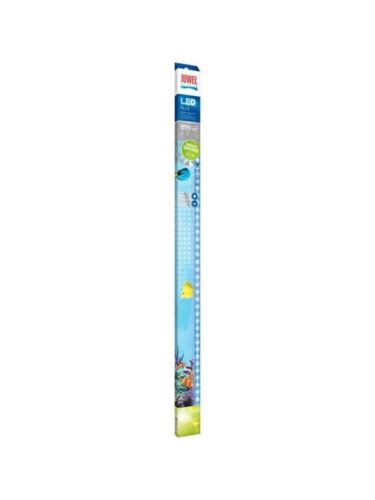 Juwel fisk – 4022573868883