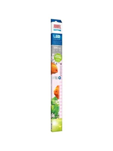 Juwel fisk – 4022573868456