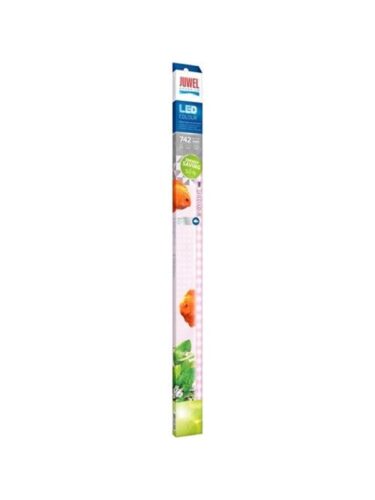 Juwel fisk – 4022573868470