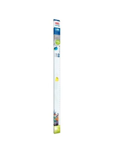 Juwel fisk – 4022573868708