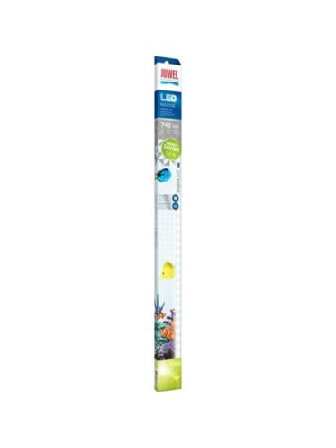 Juwel fisk – 4022573868678