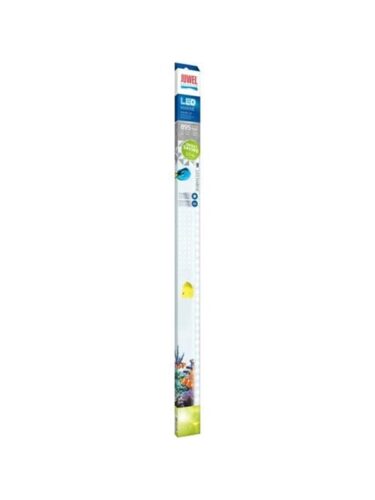 Juwel fisk – 4022573868685