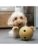 KONG hund – 0035585475257