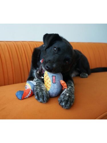 KONG hund – 0035585503448