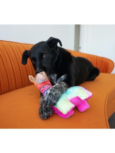 KONG hund – 0035585503462