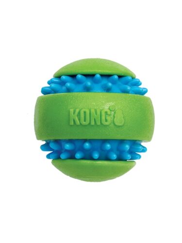 KONG hund – 0035585495095