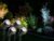 LED-utendørsbelysning – Vooni – 7333251004958