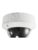 LevelOne L1 FCS-3085 Vandal/PoE/4MP/D&N/OUT – 4015867199237